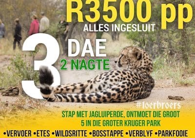 Cheetah Weekend